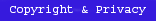 Copyright Terms and Conditions and Privacy Statement